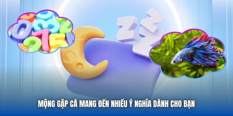 Mộng gặp cá mang đến nhiều ý nghĩa dành cho bạn